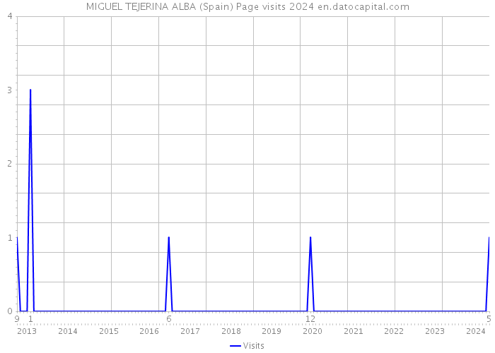 MIGUEL TEJERINA ALBA (Spain) Page visits 2024 