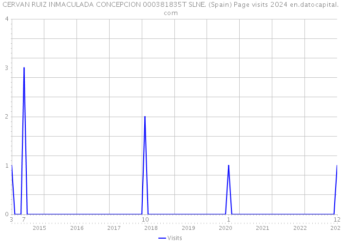 CERVAN RUIZ INMACULADA CONCEPCION 000381835T SLNE. (Spain) Page visits 2024 