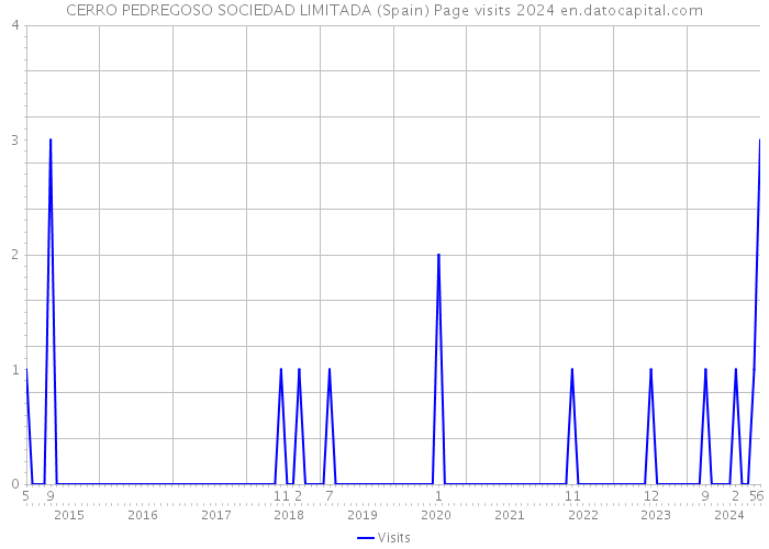 CERRO PEDREGOSO SOCIEDAD LIMITADA (Spain) Page visits 2024 