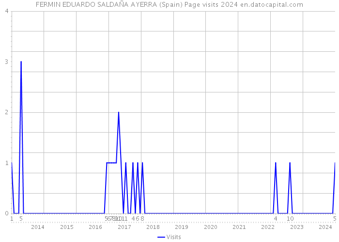 FERMIN EDUARDO SALDAÑA AYERRA (Spain) Page visits 2024 