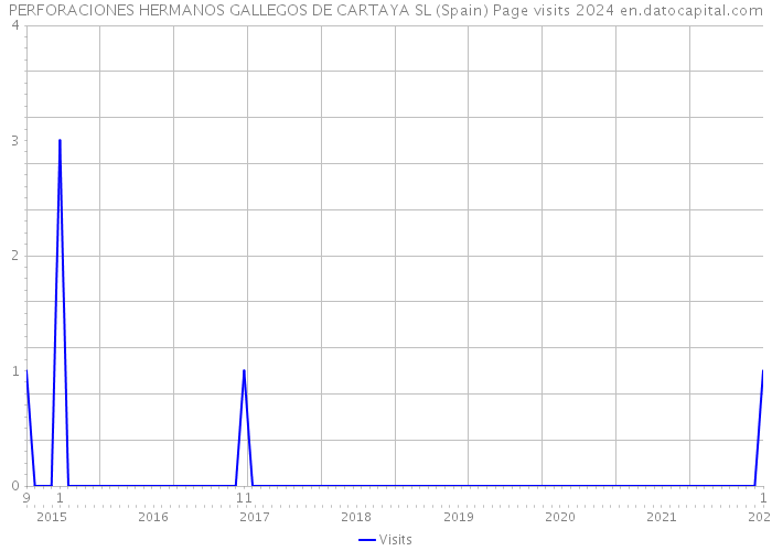 PERFORACIONES HERMANOS GALLEGOS DE CARTAYA SL (Spain) Page visits 2024 