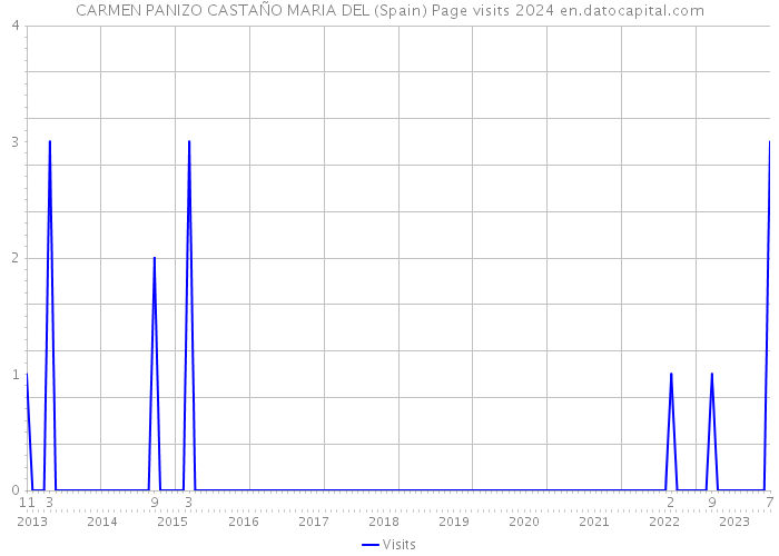 CARMEN PANIZO CASTAÑO MARIA DEL (Spain) Page visits 2024 