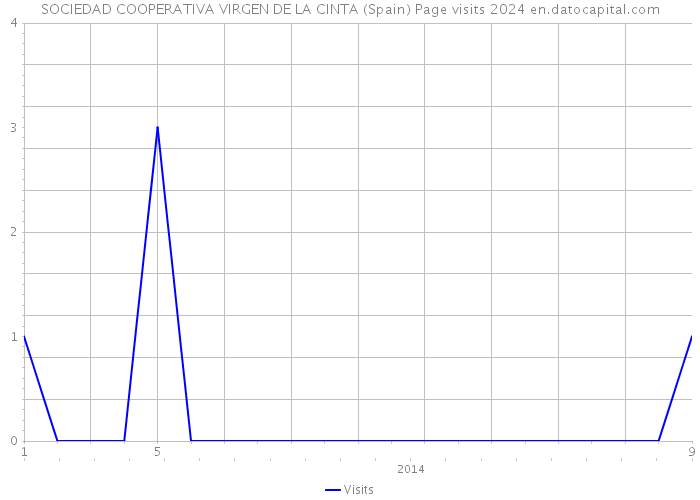 SOCIEDAD COOPERATIVA VIRGEN DE LA CINTA (Spain) Page visits 2024 