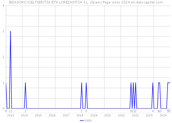 BIDASORO IGELTSERITZA ETA LOREZAINTZA S.L. (Spain) Page visits 2024 