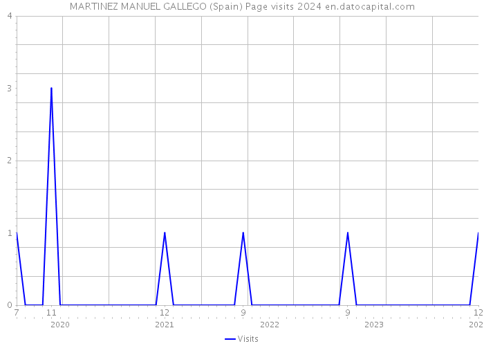 MARTINEZ MANUEL GALLEGO (Spain) Page visits 2024 