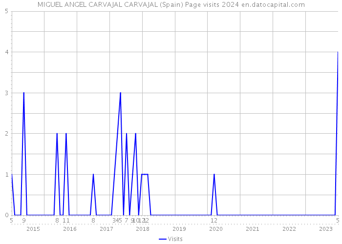 MIGUEL ANGEL CARVAJAL CARVAJAL (Spain) Page visits 2024 