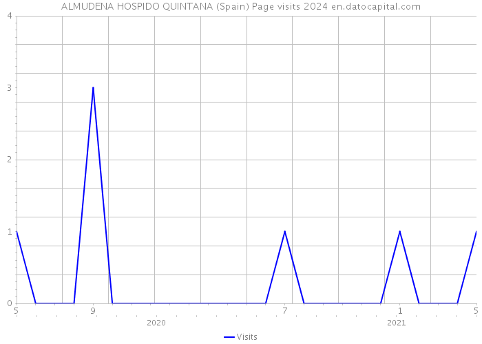 ALMUDENA HOSPIDO QUINTANA (Spain) Page visits 2024 