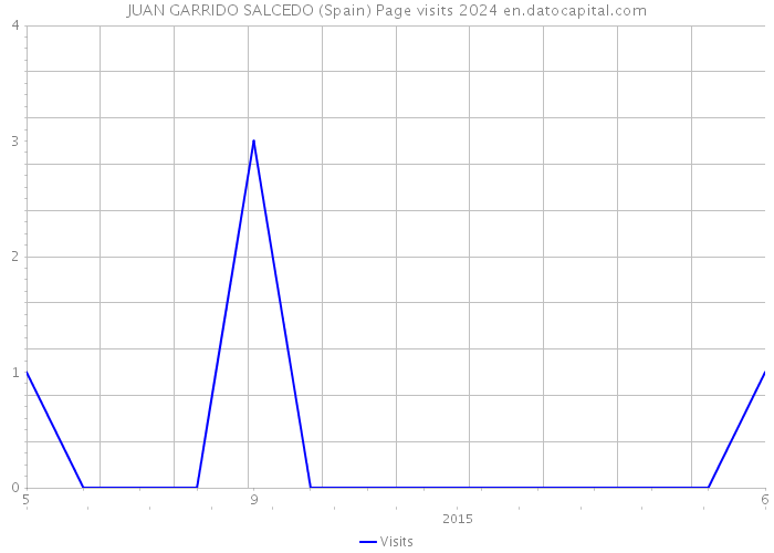 JUAN GARRIDO SALCEDO (Spain) Page visits 2024 