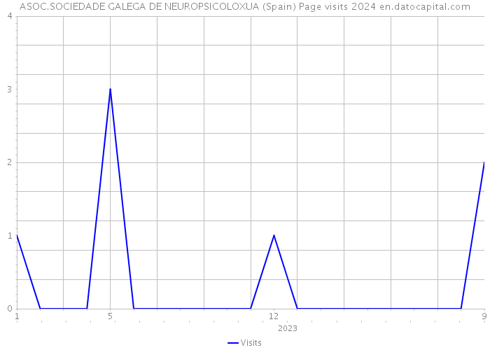 ASOC.SOCIEDADE GALEGA DE NEUROPSICOLOXUA (Spain) Page visits 2024 