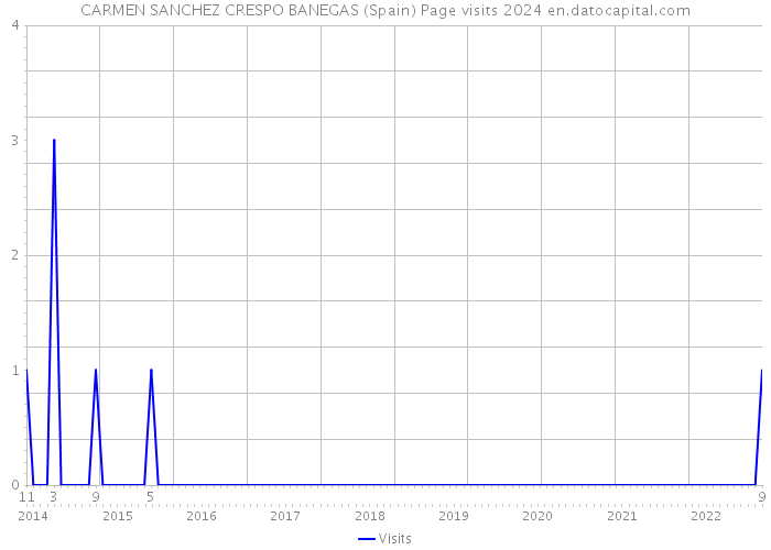 CARMEN SANCHEZ CRESPO BANEGAS (Spain) Page visits 2024 