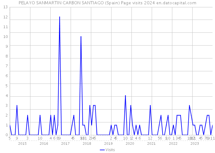 PELAYO SANMARTIN CARBON SANTIAGO (Spain) Page visits 2024 