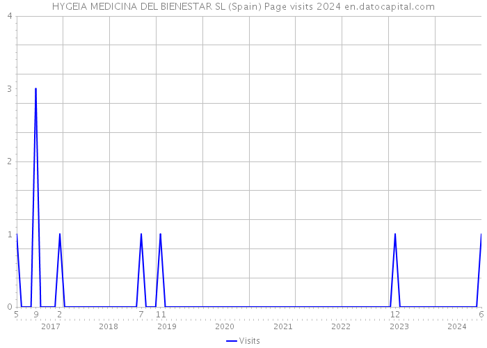 HYGEIA MEDICINA DEL BIENESTAR SL (Spain) Page visits 2024 