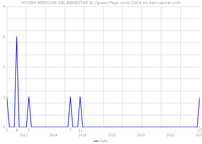 HYGEIA MEDICINA DEL BIENESTAR SL (Spain) Page visits 2024 