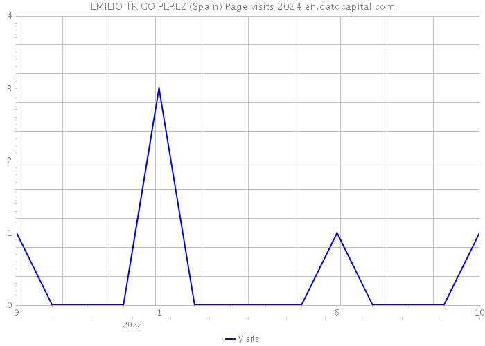 EMILIO TRIGO PEREZ (Spain) Page visits 2024 