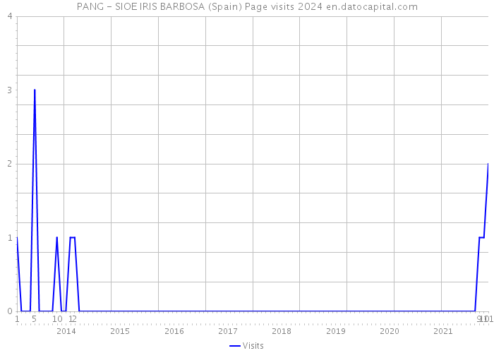 PANG - SIOE IRIS BARBOSA (Spain) Page visits 2024 