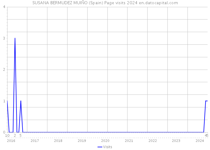 SUSANA BERMUDEZ MUIÑO (Spain) Page visits 2024 