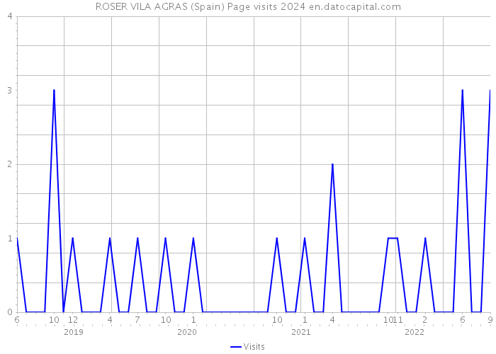 ROSER VILA AGRAS (Spain) Page visits 2024 