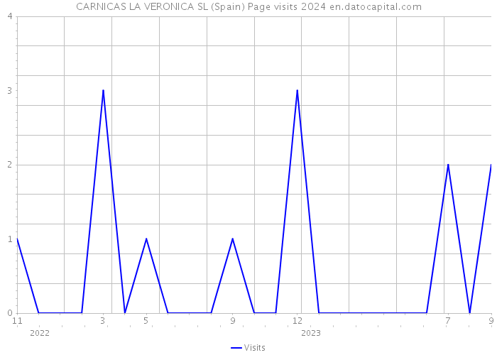 CARNICAS LA VERONICA SL (Spain) Page visits 2024 