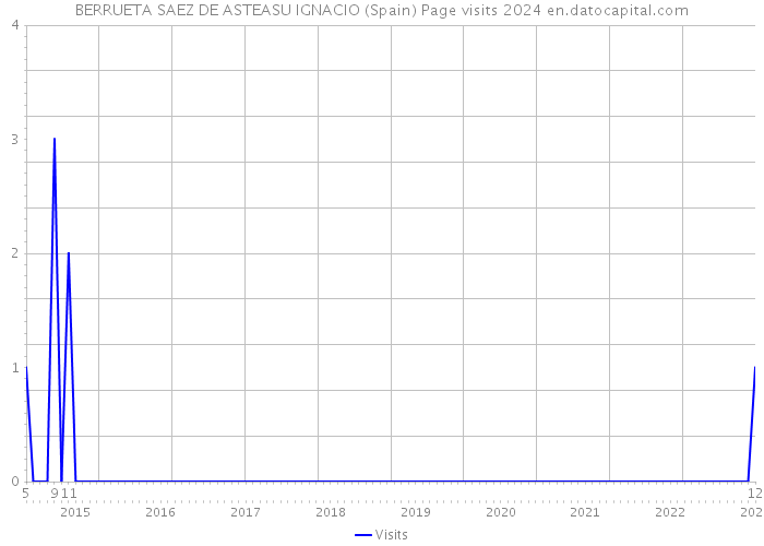 BERRUETA SAEZ DE ASTEASU IGNACIO (Spain) Page visits 2024 