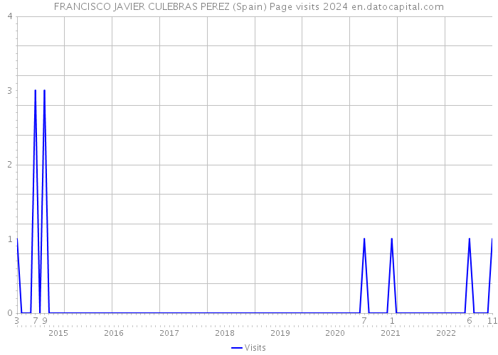FRANCISCO JAVIER CULEBRAS PEREZ (Spain) Page visits 2024 