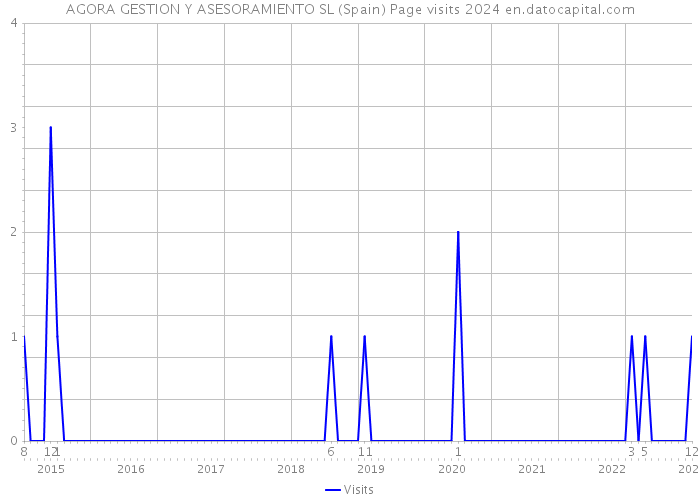 AGORA GESTION Y ASESORAMIENTO SL (Spain) Page visits 2024 