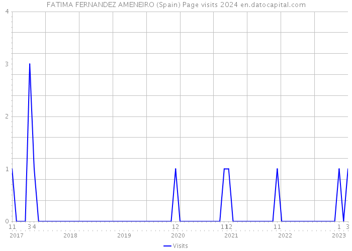FATIMA FERNANDEZ AMENEIRO (Spain) Page visits 2024 