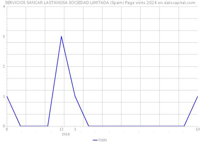 SERVICIOS SANCAR LASTANOSA SOCIEDAD LIMITADA (Spain) Page visits 2024 