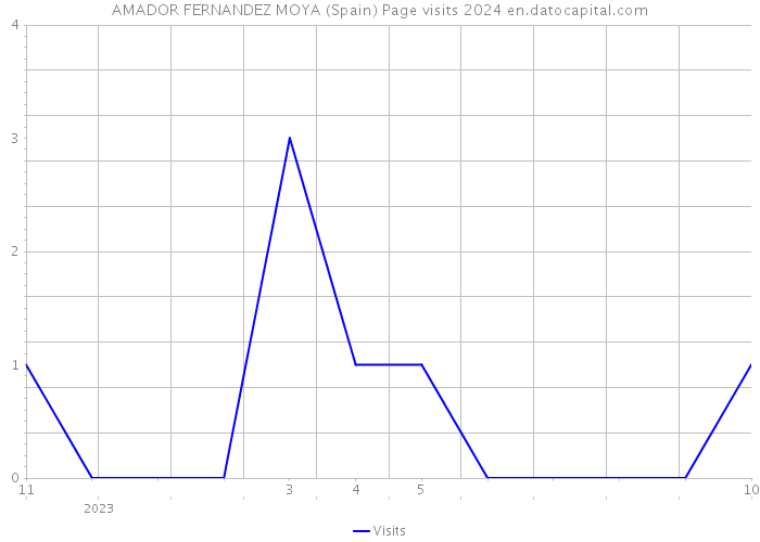 AMADOR FERNANDEZ MOYA (Spain) Page visits 2024 