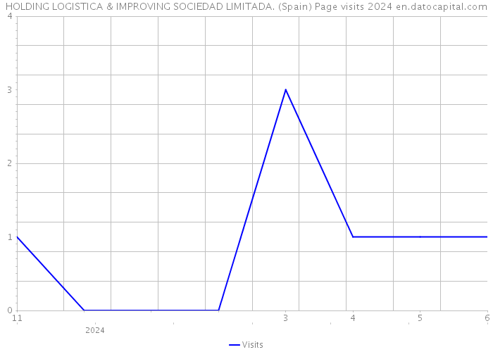 HOLDING LOGISTICA & IMPROVING SOCIEDAD LIMITADA. (Spain) Page visits 2024 