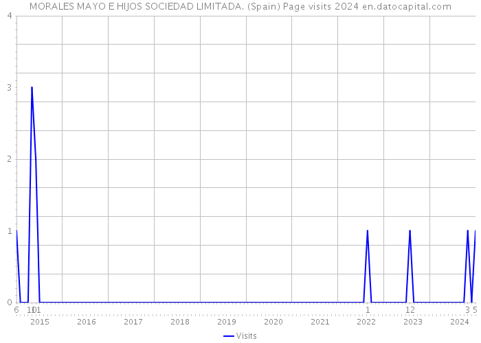MORALES MAYO E HIJOS SOCIEDAD LIMITADA. (Spain) Page visits 2024 