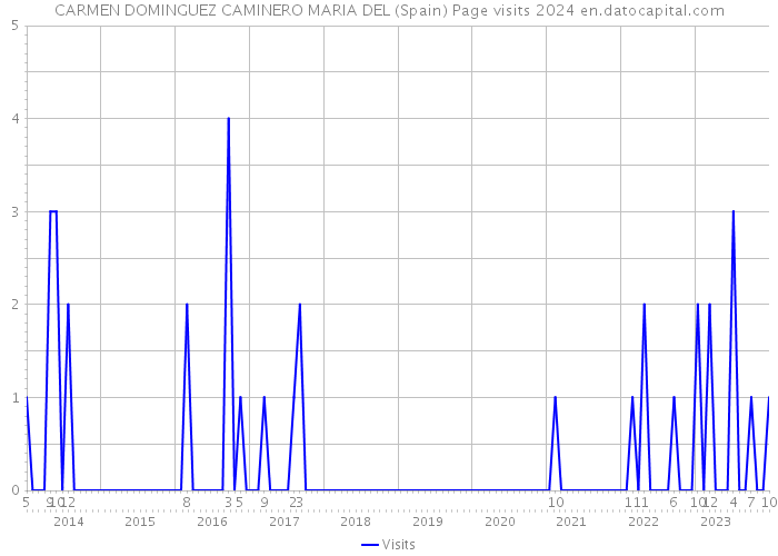 CARMEN DOMINGUEZ CAMINERO MARIA DEL (Spain) Page visits 2024 