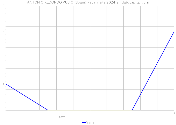 ANTONIO REDONDO RUBIO (Spain) Page visits 2024 