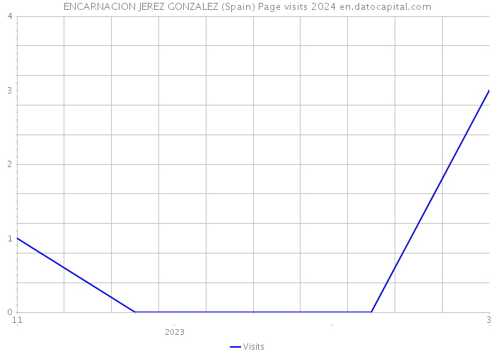 ENCARNACION JEREZ GONZALEZ (Spain) Page visits 2024 