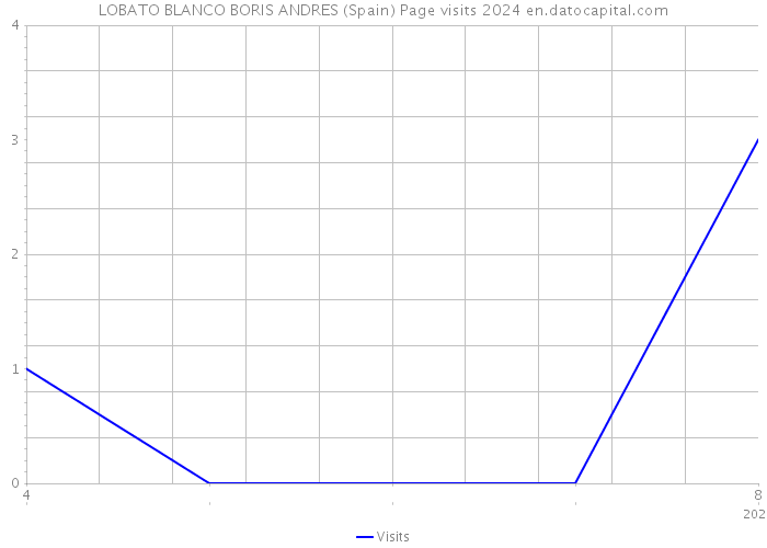 LOBATO BLANCO BORIS ANDRES (Spain) Page visits 2024 