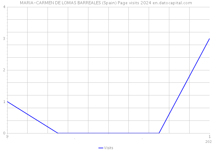 MARIA-CARMEN DE LOMAS BARREALES (Spain) Page visits 2024 