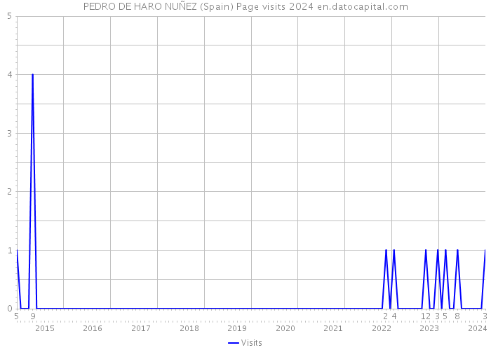 PEDRO DE HARO NUÑEZ (Spain) Page visits 2024 