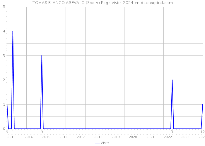 TOMAS BLANCO AREVALO (Spain) Page visits 2024 