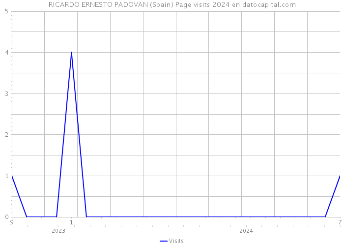 RICARDO ERNESTO PADOVAN (Spain) Page visits 2024 