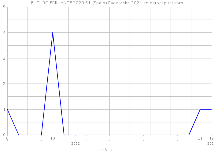 FUTURO BRILLANTE 2020 S.L (Spain) Page visits 2024 