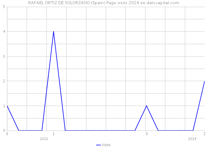 RAFAEL ORTIZ DE SOLORZANO (Spain) Page visits 2024 