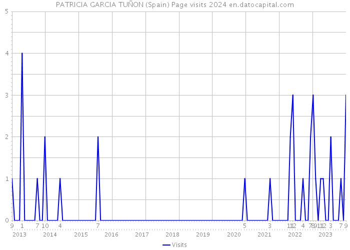 PATRICIA GARCIA TUÑON (Spain) Page visits 2024 