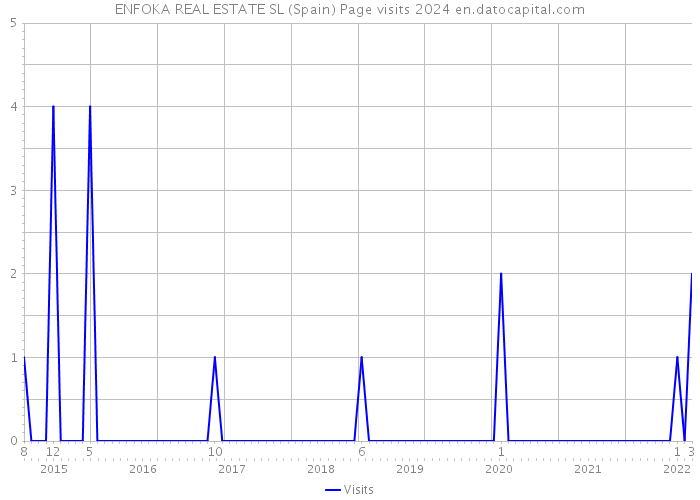 ENFOKA REAL ESTATE SL (Spain) Page visits 2024 