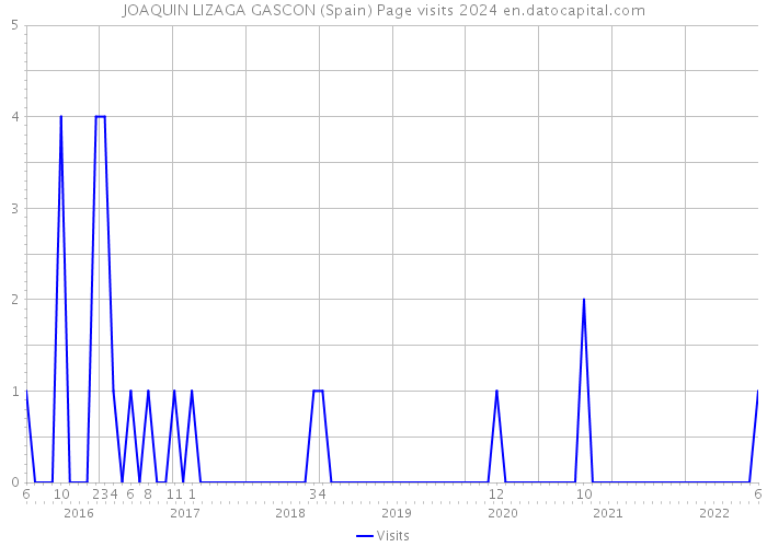 JOAQUIN LIZAGA GASCON (Spain) Page visits 2024 