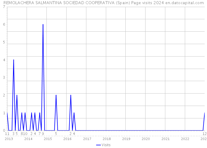 REMOLACHERA SALMANTINA SOCIEDAD COOPERATIVA (Spain) Page visits 2024 