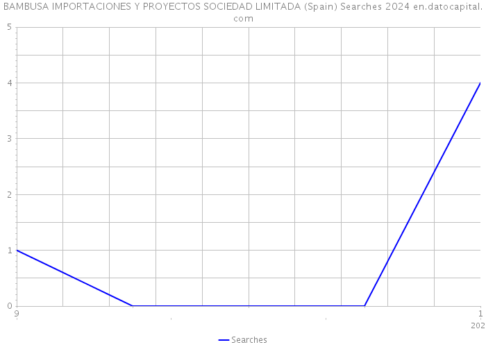BAMBUSA IMPORTACIONES Y PROYECTOS SOCIEDAD LIMITADA (Spain) Searches 2024 