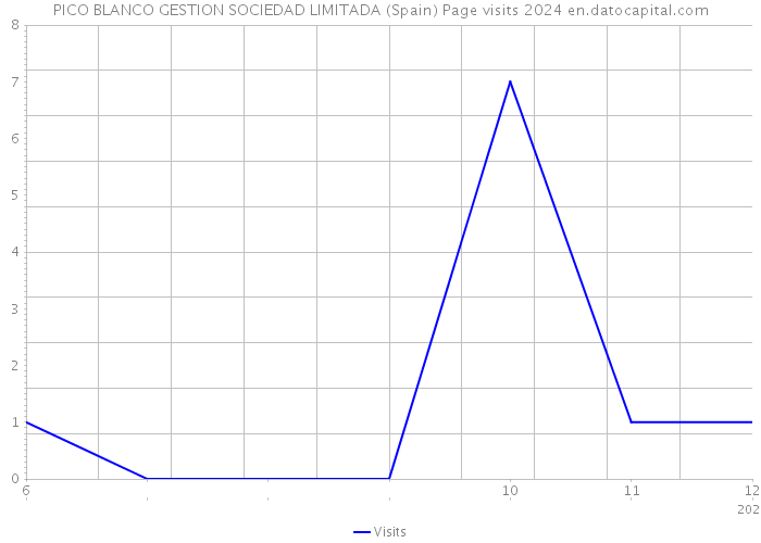 PICO BLANCO GESTION SOCIEDAD LIMITADA (Spain) Page visits 2024 
