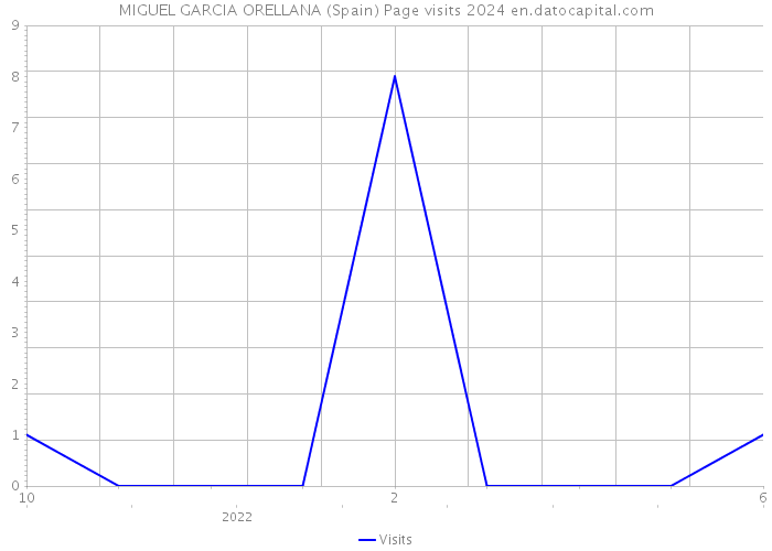 MIGUEL GARCIA ORELLANA (Spain) Page visits 2024 