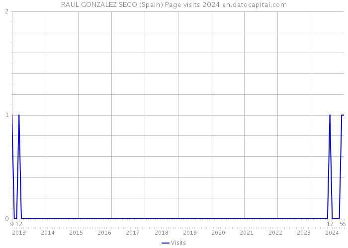 RAUL GONZALEZ SECO (Spain) Page visits 2024 
