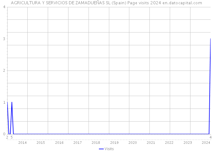 AGRICULTURA Y SERVICIOS DE ZAMADUEÑAS SL (Spain) Page visits 2024 