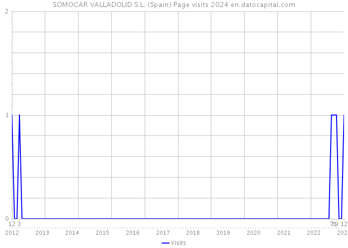 SOMOCAR VALLADOLID S.L. (Spain) Page visits 2024 